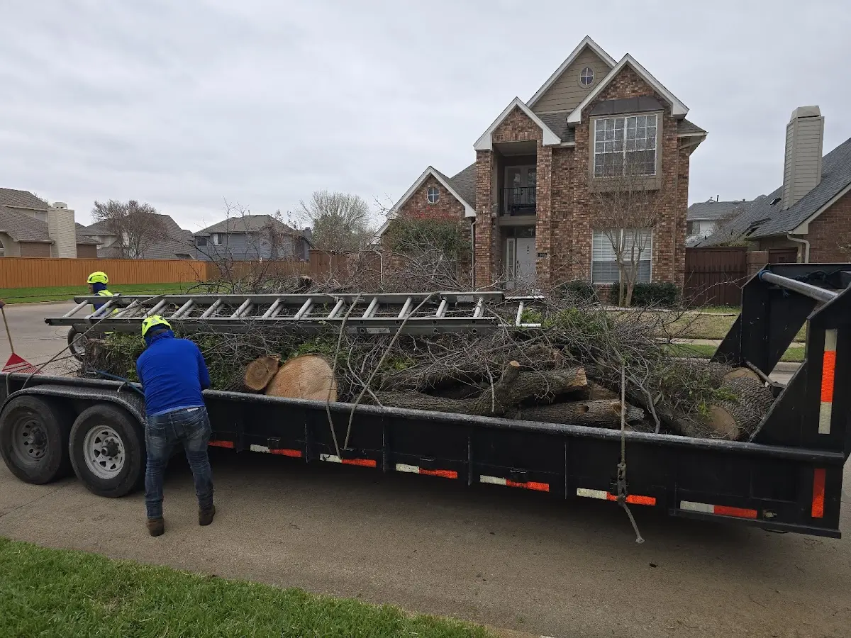 Expert Tree Pest Control with proper safety equipment in Daleville